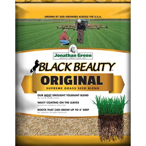 The Secret to a Beautiful Fall Lawn: Black Beauty Grass Seed